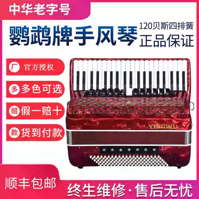 Parrot accordion 8 72 60 96 120 bass three and four rows of spring accordion beginner examination performance