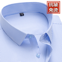 Men Short Sleeve Shirt Business Casual Pro Dress Pure Cotton Anti-Burn Each Sub Half Sleeve Striped Long Sleeve Shirt