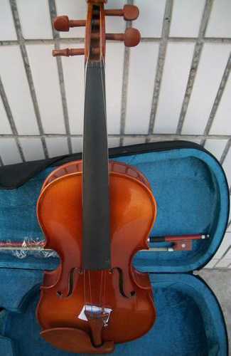 Pugrade bright light violin stock is more than three special prices 1 16-more than 44 provinces