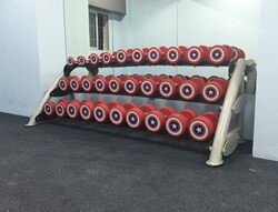 Gns-8227 Three-Layer Fifteen-Set Dumbbell Rack
