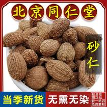 Tong Ren Tang Amomum villosum Chinese medicine 500g seasonal Amomum villosum Chinese medicine stomach nourishing spices for tea Chinese herbal medicine Amomum villosum soaked in water