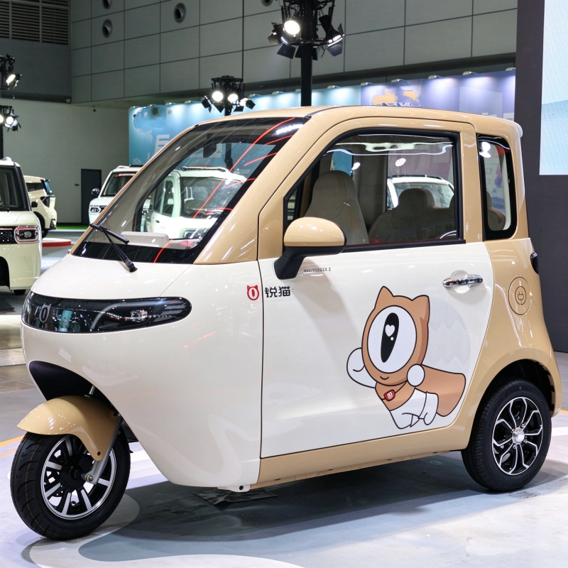 Rui Cat Qq Three-Wheeled Electric Vehicle, High-End Fully Enclosed Household Small New Energy Vehicle, Fully Compliant with Regulations, with License Plate, Mobility Scooter Rui Cat Qq Three-Wheeled Electric Vehicle, High-End Fully Enclosed Household Small New Energy Vehicle, Fully Compliant with Regulations, with License Plate, Mobility Scooter