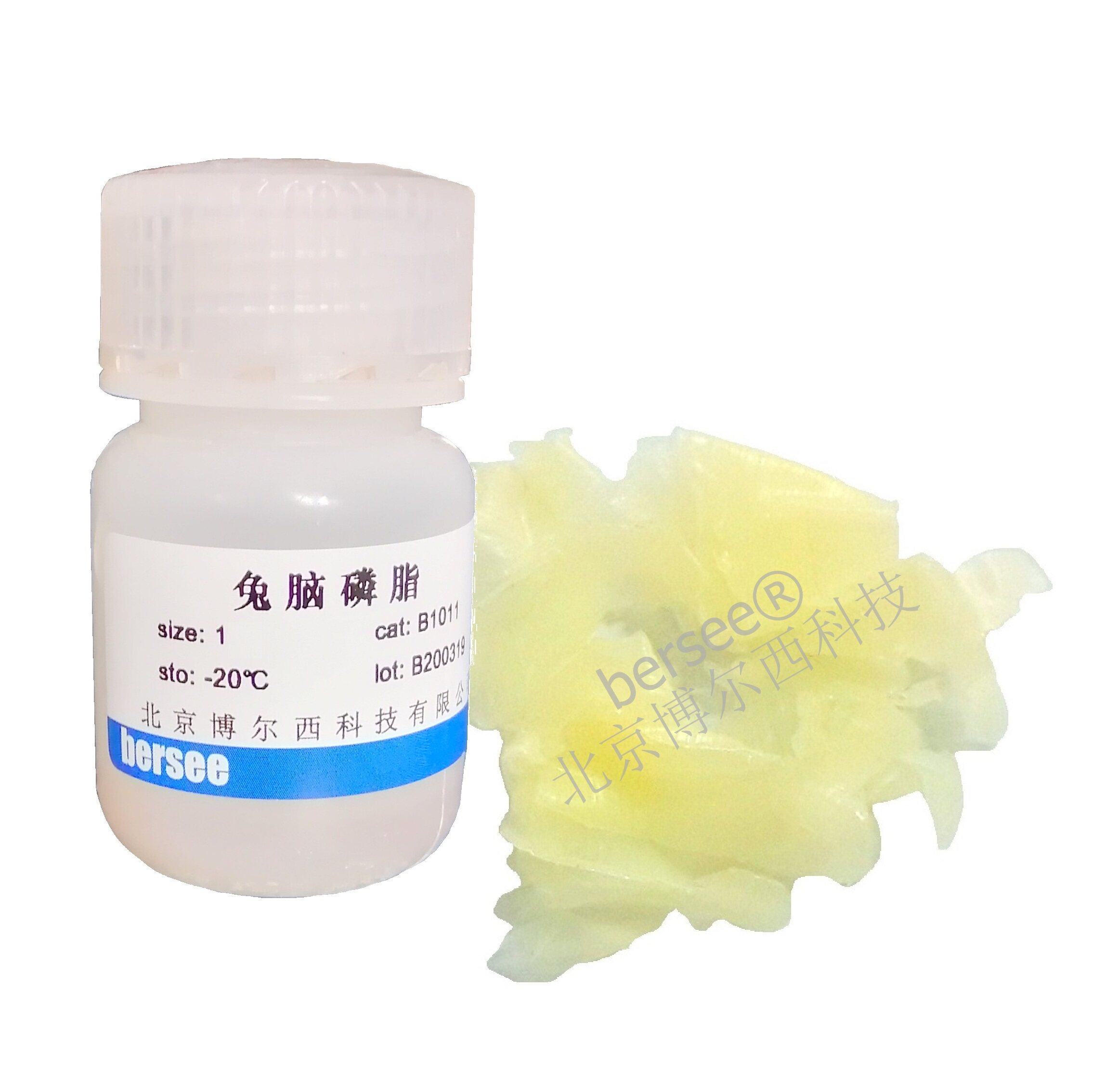 兔脑磷脂 （APTT试剂）原料