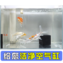 Water purification cube Activated carbon fish tank filter media Purify water quality Filter stone Remove citrine nemesis Aquarium supplies