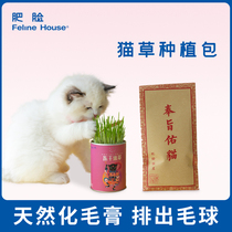 Feline House fat face cat house cat grass hair cleaning tooth cat snacks cat grass seeds cat grass planting bag