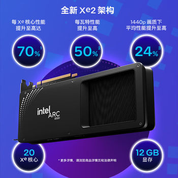 Intel professional graphics a6012g public edition b580