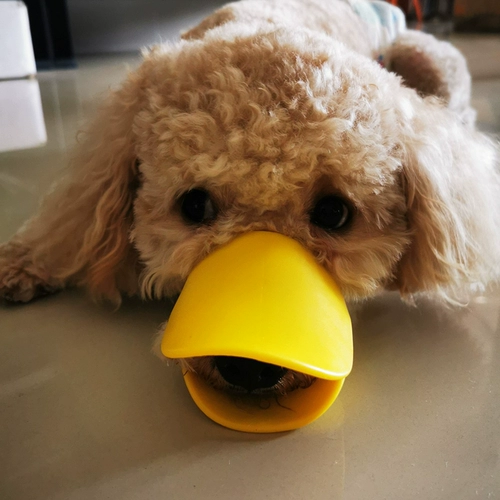 Собака, собачья рукав утяга