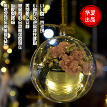 Huaxia Artisanal DIY Rose Flower Potted Little Night Lights Birthday Gift Pendant home to decorate Seven New Years Eve
