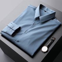 Cost - effective Spring light business free shirt mens sleeve silk light - trace ice wire shirt