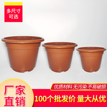 Flower breeding plastic seedling flower pot big and small number green rosea pot high Factory Direct sale special clearance