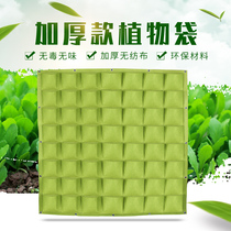 Balcony hanging wall planting bag vertical flower wall green wall flower pot automatic watering plant wall three-dimensional green ecological wall