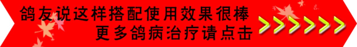 Thuốc bồ câu [điều trị hô hấp] ngáy chất nhầy điểm trắng ho cạnh tranh thư cung cấp chim bồ câu thuốc Daquan - Chim & Chăm sóc chim Supplies phu kien long chim