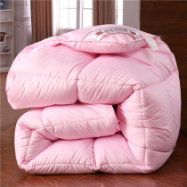 Down cotton quilt thickened warm winter quilt 8 10 catties double spring and autumn quilt single dormitory quilt core clearance