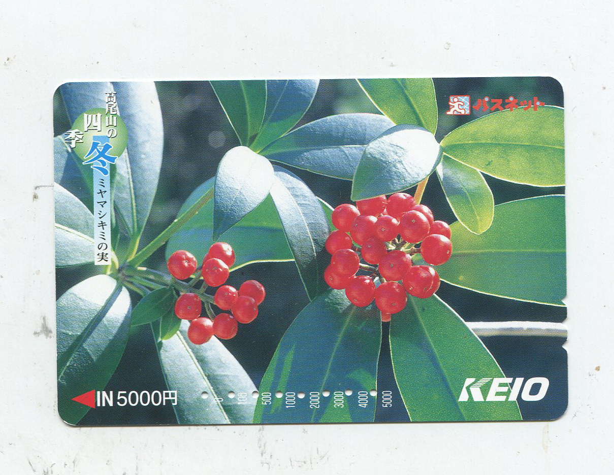 Tokyo, Japan Red Fruit Ticket 5000 Yuan