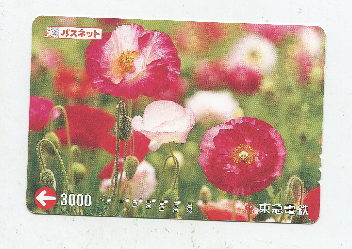 Train ticket for East Rush Electric Flowers RMB300  Japan RMB300