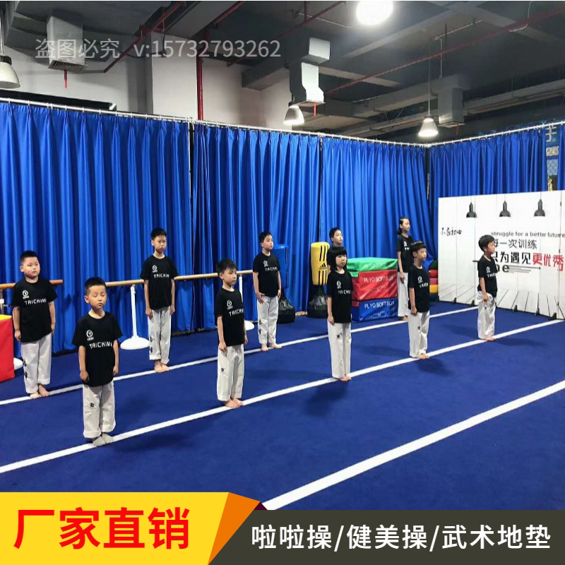 Aerobics Cheerleading Martial Arts Wrestling Karate Ground Mat Sanda Fighting Taekwondo Fighting Jiu-Jitsu Sports Mat