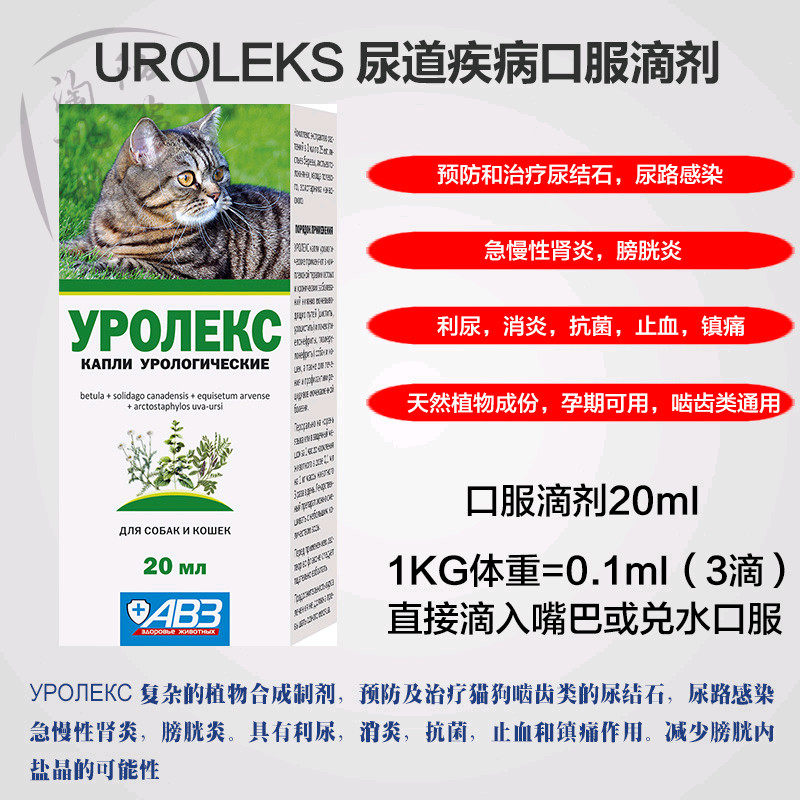 宠物犬猫豚鼠仓鼠兔子尿路感染尿结石膀胱炎肾炎尿血尿痛少尿治疗