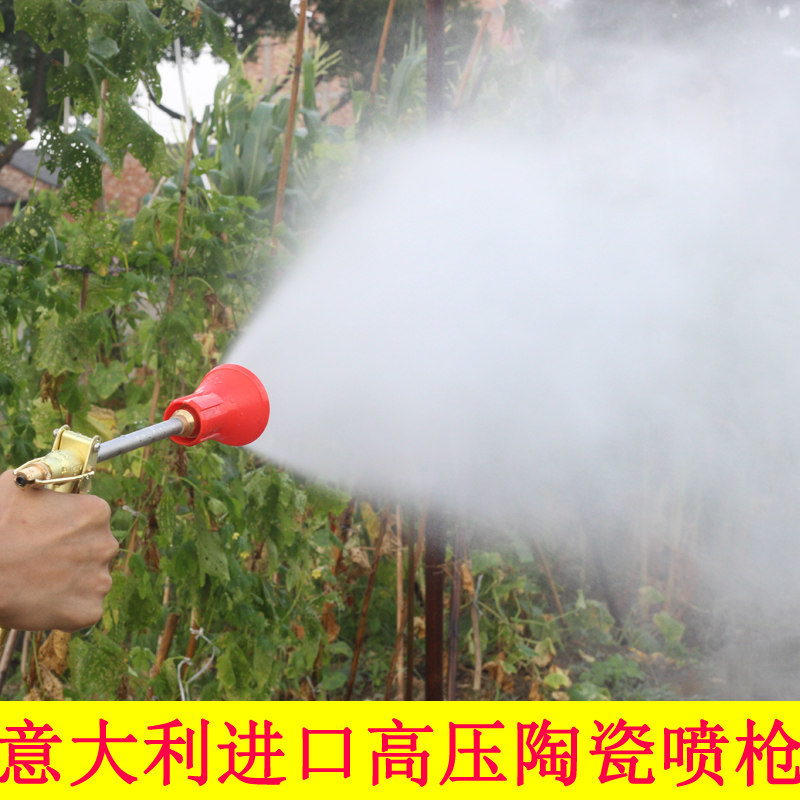 Spray machine spray gun high pressure spray gun fruit tree garden Italy adjustable atomization hand pressure gun water gun agricultural