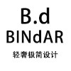 BINdAR 轻奢极简设计的LOGO