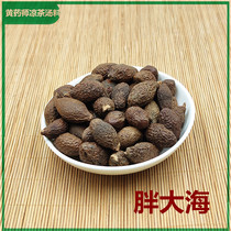 Fat Dahai 150g Soaked in Water with Monk Fruit and Chrysanthemum Tea Honeysuckle Tea