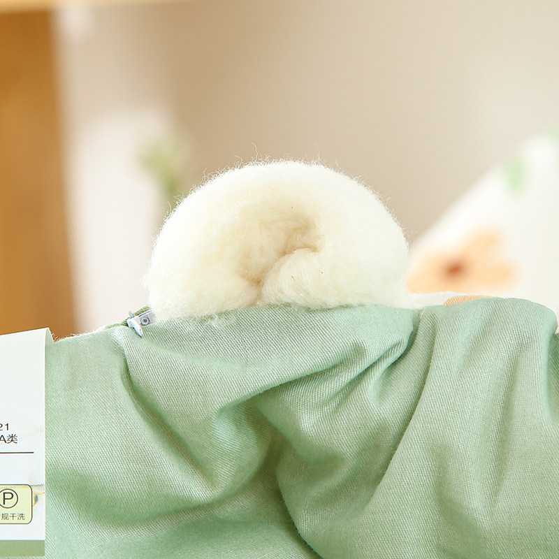 Xinjiang Cotton Quilt, Pure Cotton Spring and Autumn Quilt, Thickened Warm Winter Quilt, All-Cotton Cotton Filling, Bedding Quilt, Suitable for All Seasons