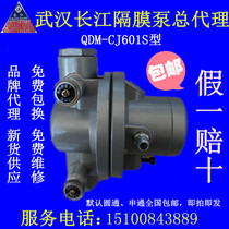 Wuhan Yangtze River one-way pneumatic diaphragm pump QDM CJ601S ink printing glue promotion activities