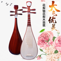 Pipa Musical Instrument Ebony Axis Rosewood Polished Pipa Children Adult Pipa Professional Performance Pipa