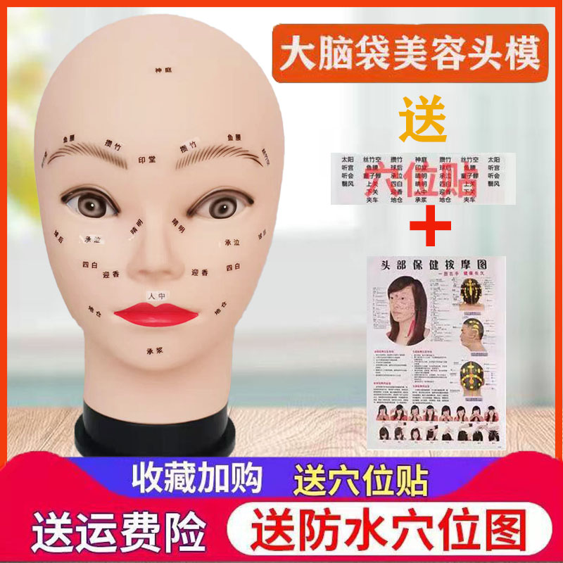 Skin Administrator Head Model Beauty Practice Facial Acupoint Massage Wash Face Soft Bald Head Model Head Model Head