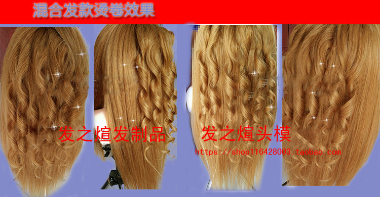 Extension mèches - Ref 219563 Image 32