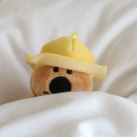 Маленькая желтая шляпа коала подвесная шляпа может взлететь