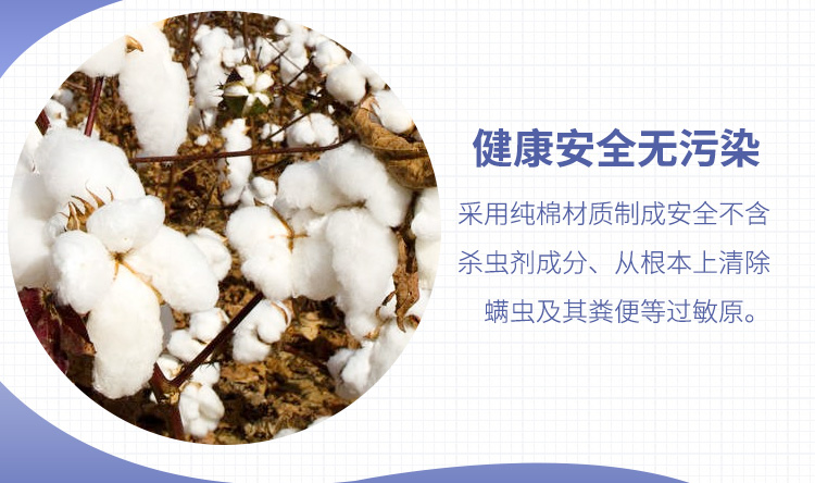 giá bình xịt muỗi Nhật Bản nhập khẩu Maru Rong Locust Sticker Ngoài mạt 螨 pad giường sofa mút dán để diệt ve - Thuốc diệt côn trùng bình xịt kiến