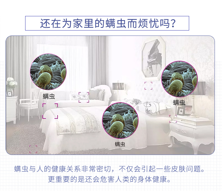 giá bình xịt muỗi Nhật Bản nhập khẩu Maru Rong Locust Sticker Ngoài mạt 螨 pad giường sofa mút dán để diệt ve - Thuốc diệt côn trùng bình xịt kiến