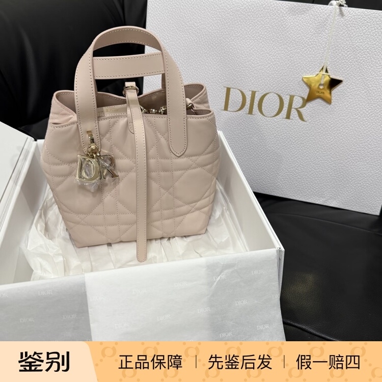 Dior Dior Native New Rouge Powder Toujours Small Vertical and Horizontal Handheld Shoulder Bag