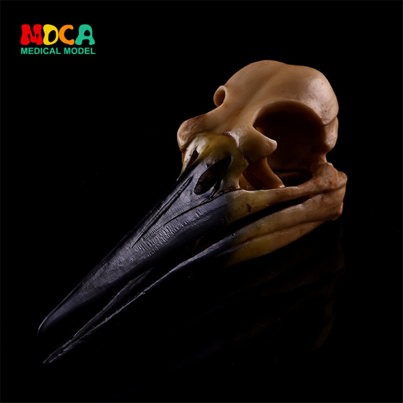 Antique Yellow Dinosaur Bird Skull Resin Skull Resin Crafts Home Decoration Animal Skull KLGT005
