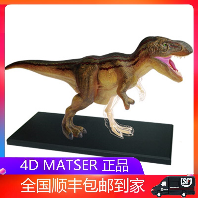 4D MASTER puzzle assembled children's toy ornaments simulation animal dinosaur tyrannosaurus rex organ anatomy model