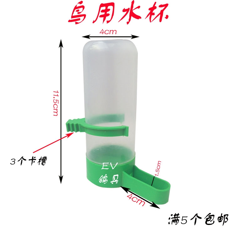 Pigeon Parrot Starling Tự động uống Đài phun nước Cho chim bồ câu Cung cấp Thiết bị Ấm siêu tốc Parrot Tự động cắt - Chim & Chăm sóc chim Supplies lồng cu gáy