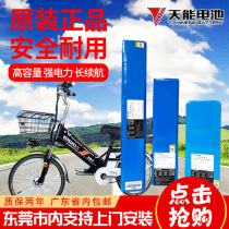 Tianneng lithium battery 48V12A 48V10AH 48V8AH square lithium battery size car tube lithium battery Xidesheng