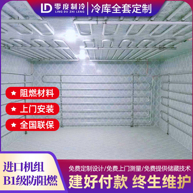 Frozen refrigerator full set of equipment large, medium and small fruit and vegetable preservation refrigeration refrigeration unit integrated household refrigerator 220v