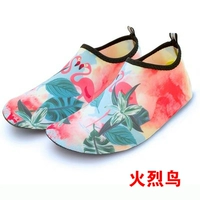 Сладкая туфли с огненной птицей