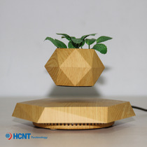 2019 New Products Listed Domestic Maglev Invention Patent Manufacturer Maglev Potted Creativity Pendulum agent