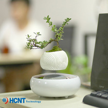 New Products Maglev Potted Potted Aerial Suspension Bonsai Home Office Decoration Plant Creative Aerial Potted Plant Pendulum