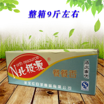 Arctic source pickles meal Meal incense Hotel restaurant powder shop Barbecue shop with rice side dishes pickles side dishes