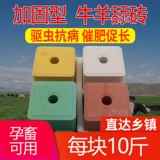 Корова -коры лизания кирпичной соли кирпичной овец, репеллент насекомых и кирпичные говяжьи ковы, пищевые зверь соле
