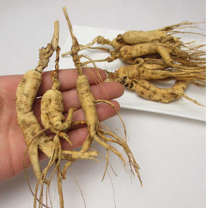 Changbai Mountain Yanshan Zixianxiang Yoshan Yoshan Yoshan Breeding Breeding Breeding Breeding and Breeding Tea Mountain