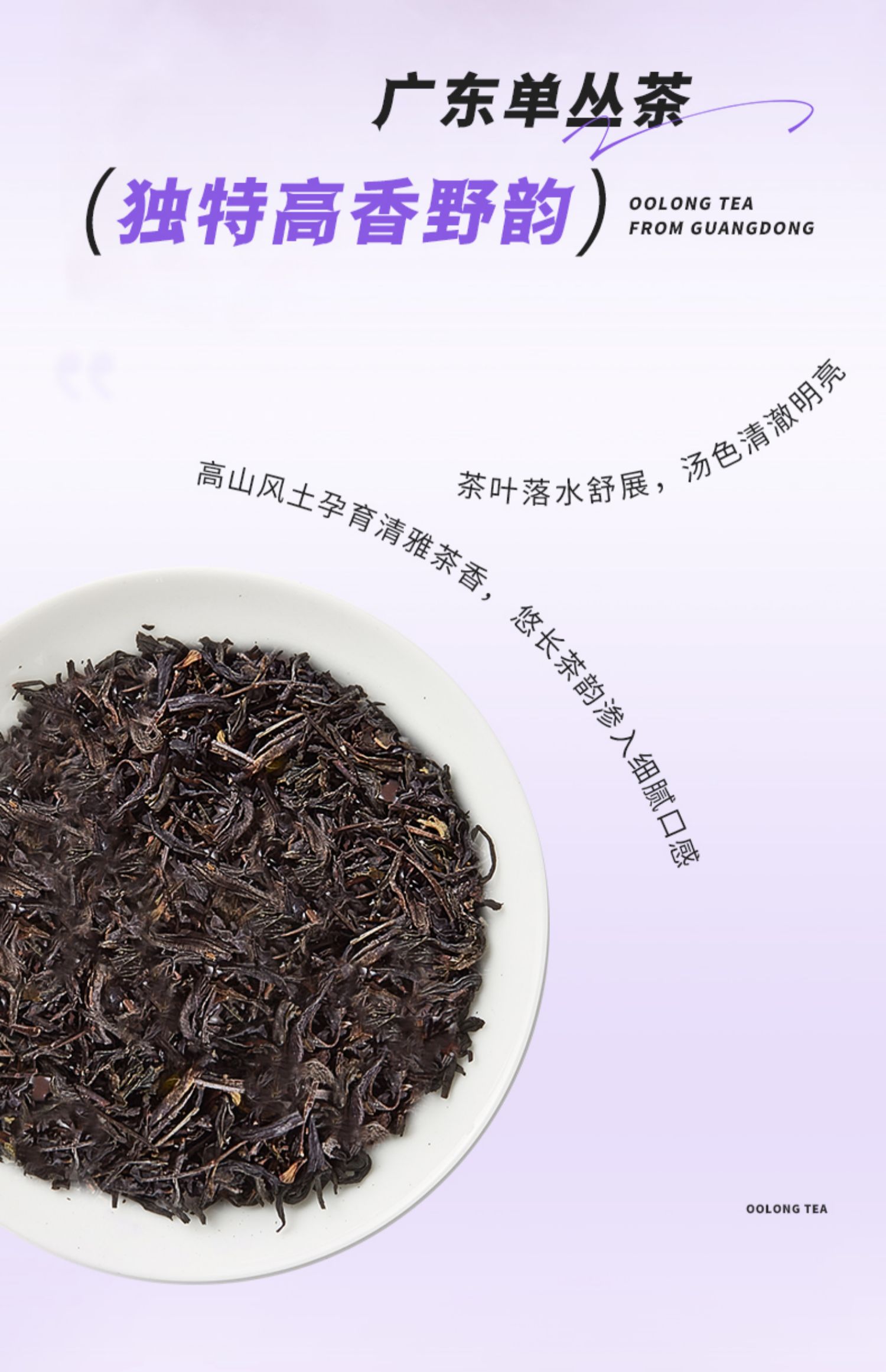 【中國直郵】 CHALI茶裡 蕭戰推薦 黑枸杞葡萄烏龍茶 12袋裝/盒