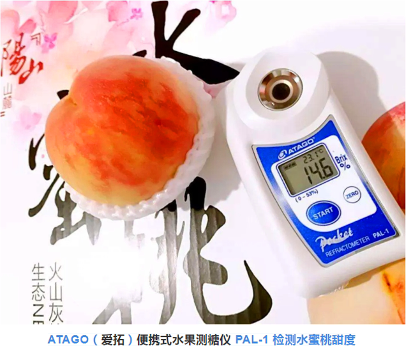 Japan ATAGO portable digital refractometer PAL-1 Juice brix meter Beverage concentration meter Fruit brix meter