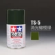 TS5 Massage Olive Color