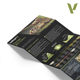 3g Model Vallejo Eco-Friendly Water-Based Paint Av70255 German Armored Vehicle Color Set 16X18Ml