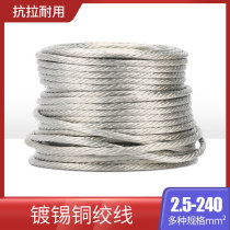 Tinned copper strand 2.5-240 square copper braided belt ground wire copper wire soft connection 1 meter price conductive strip copper wire