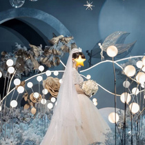 New wedding props Dragon Ball Road Luminous Ball Silver Hose Stage Background Wedding Hall Decoration